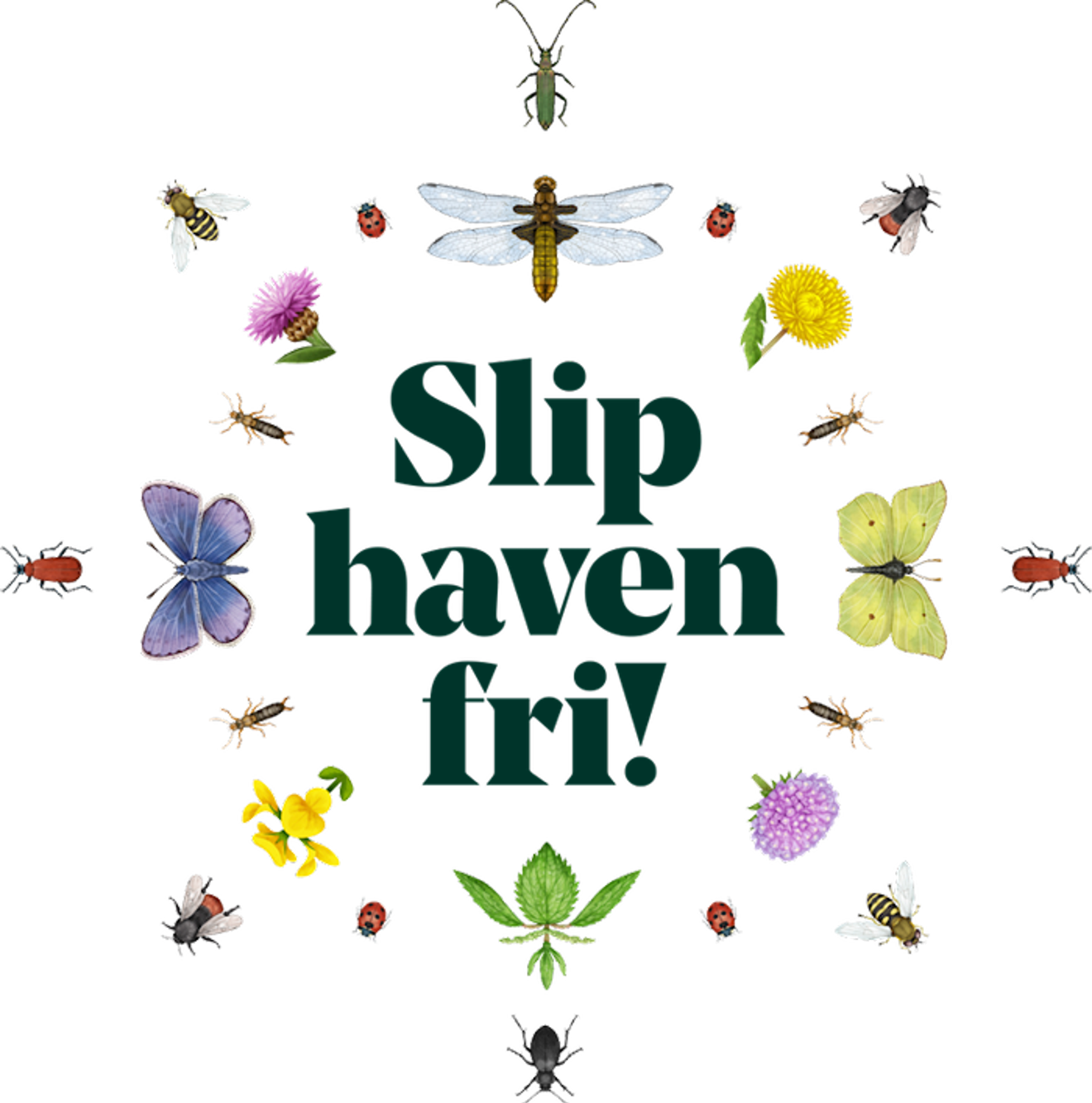 Slip haven fri!