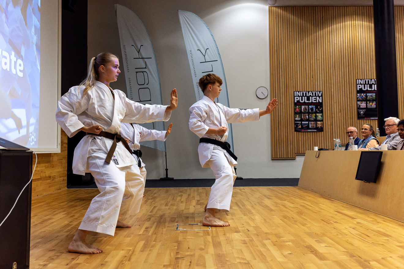 Underholdning til receptionen foråret 2025