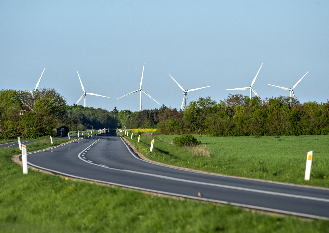 Vindmøllerne i Gedmosen